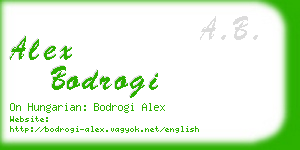 alex bodrogi business card